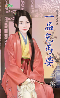 一品乞丐婆封面