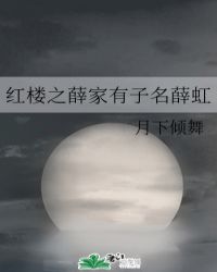 红楼之薛家有子名薛虹封面