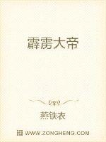 霹雳大帝封面