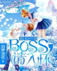 追夫计划：boss，请入怀封面