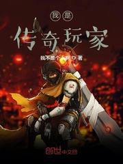 我是传奇玩家封面