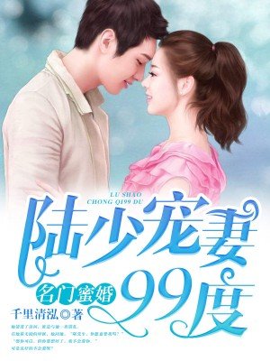 陆少宠妻99度封面