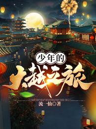 少年的大越之旅封面