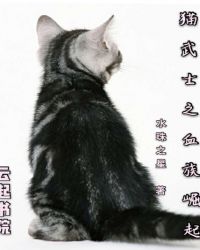 猫武士之血族崛起封面