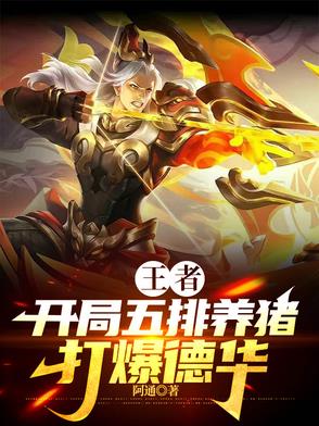 王者你的英雄又又又玩错了封面