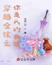 穿越金弦之寻找真爱封面