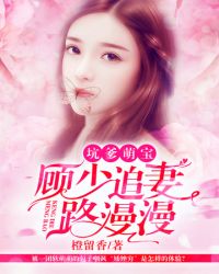 顾少追妻路漫漫封面