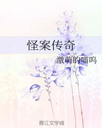 怪案传奇封面