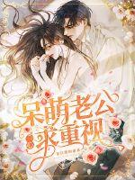 呆萌老公一心求重视封面