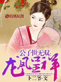 公子世无双：龙凤呈祥封面