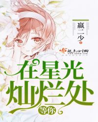 在星光灿烂处等你封面