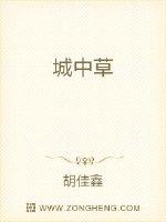 城中草封面