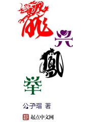 龙兴凤举封面