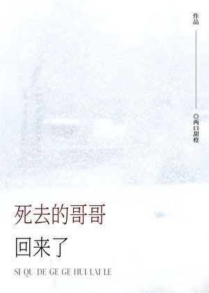 死去的哥哥回来了封面