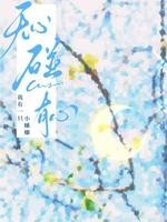 无心碰有心封面