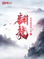 翻龙封面