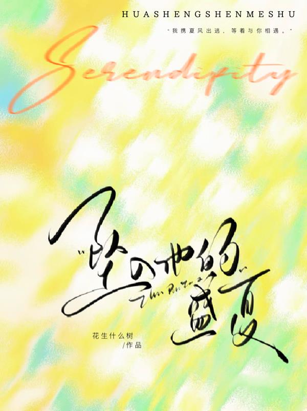 坠入他的盛夏封面