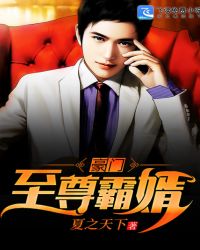 豪门至尊霸婿封面