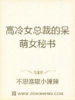 高冷女总裁的呆萌女秘书封面