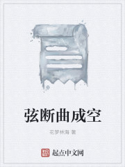 弦断曲成空封面