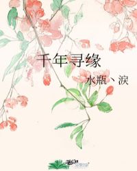 千年寻缘封面