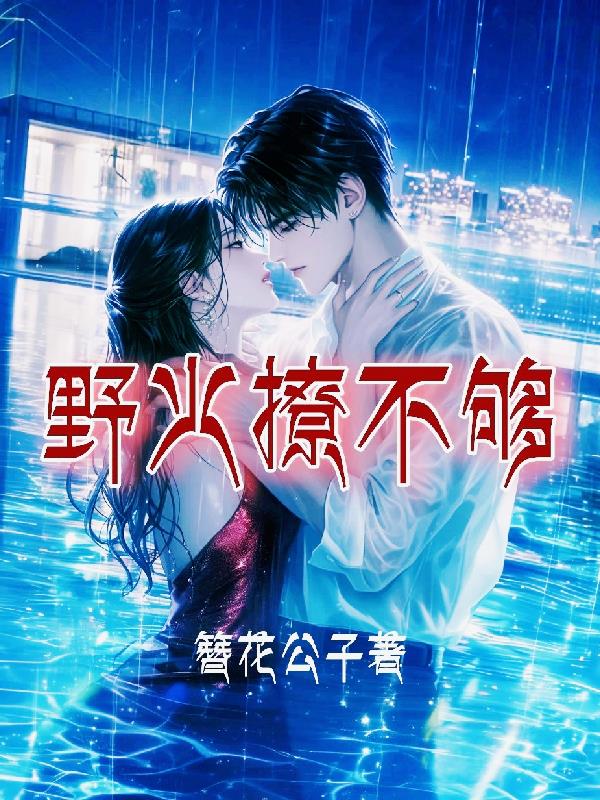 野火撩不够封面