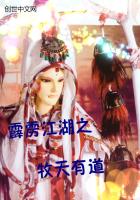 霹雳江湖之牧天有道封面