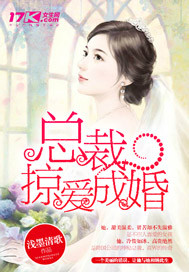 总裁掠爱成婚封面