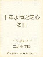 十年永恒之芝心依旧封面