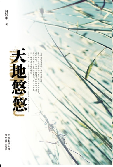 天地悠悠(全本)封面