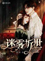 迷雾折世封面