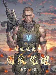 天狼极夜:雷纹觉醒封面