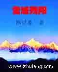 雪域残阳封面