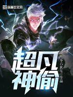 超凡神偷封面