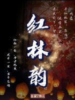 红林韵封面
