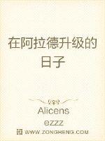 在阿拉德升级的日子封面