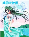 风的守护者封面