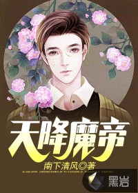 天降魔帝封面