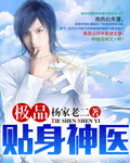 极品贴身神医封面