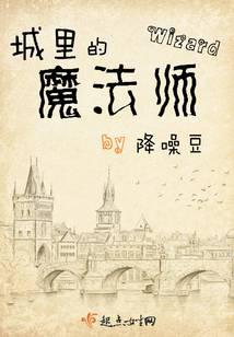 城里的魔法师封面