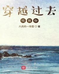 穿越过去找到你封面