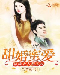 甜婚蜜爱：总裁大人惹不起封面