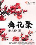 梅花聚封面