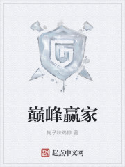 巅峰赢家封面