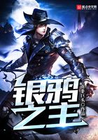 银鸦之主封面
