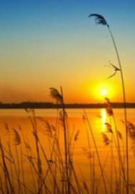 相爱时时光刚刚好封面