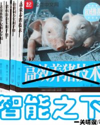 智能之下封面