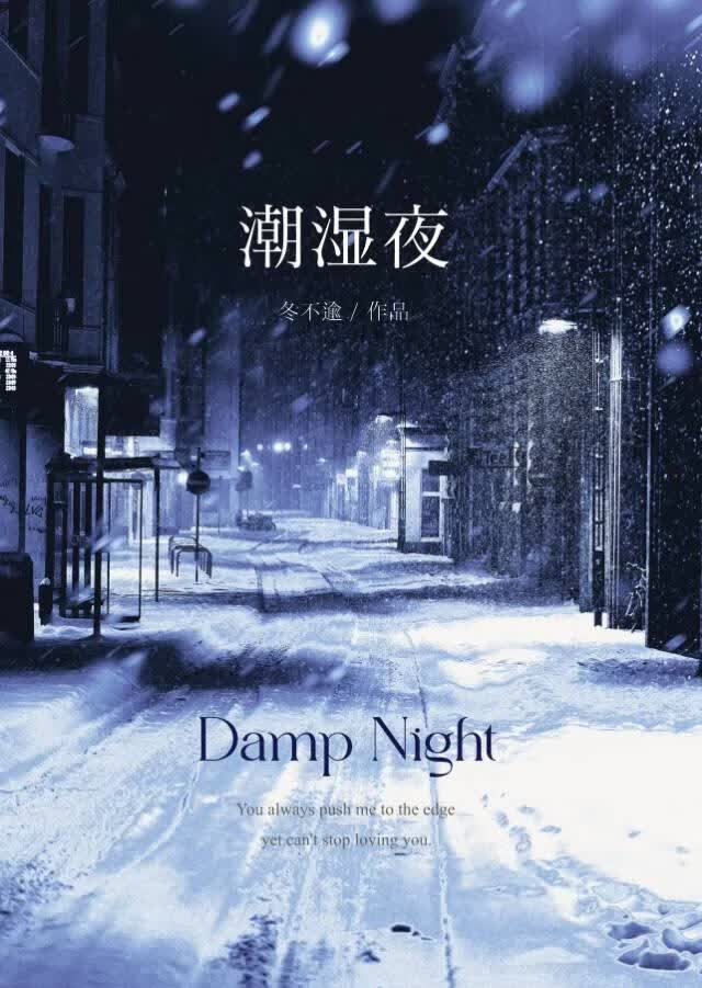 潮湿夜封面