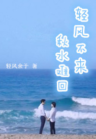 轻风不来，秋水难回封面