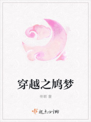 穿越之鸠梦封面